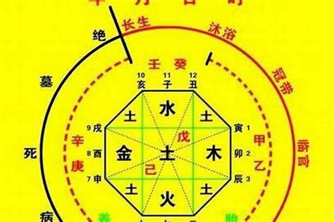 五行忌什么|生辰八字算命、五行喜用神查询（免费测算）